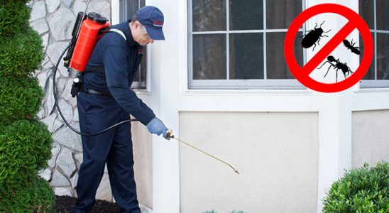 Lice Gümüşkurt İlaçlama böcek ilaçlama ve haşere kontrolü — ilaclama-tr.com